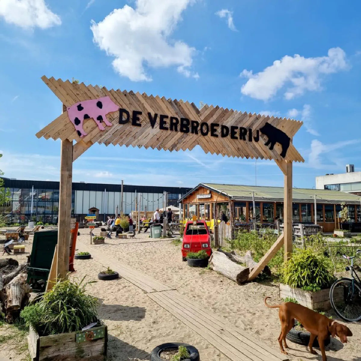 De VerbroederIJ